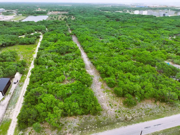 a view of yard with green space