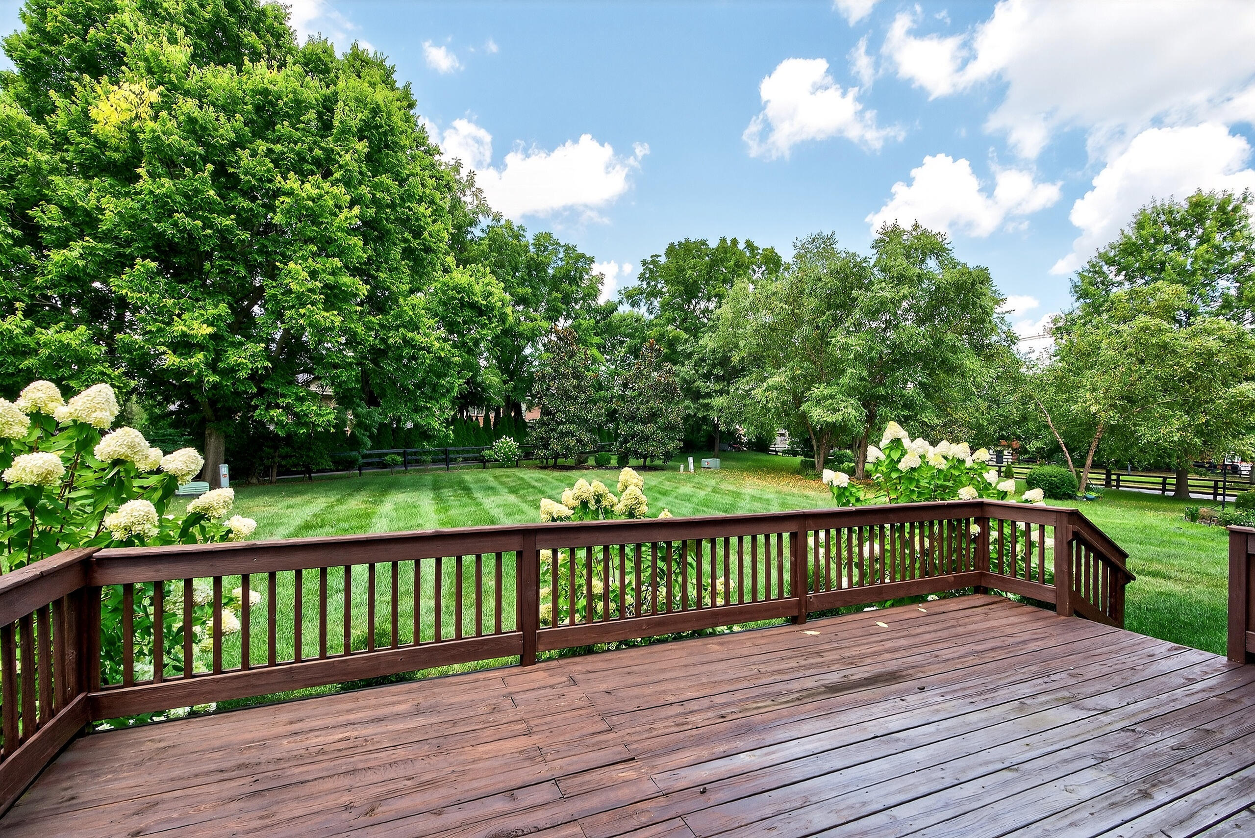 3005 Old Field Way Lexington, KY 40513 - Photo 39 of 43 3005old44