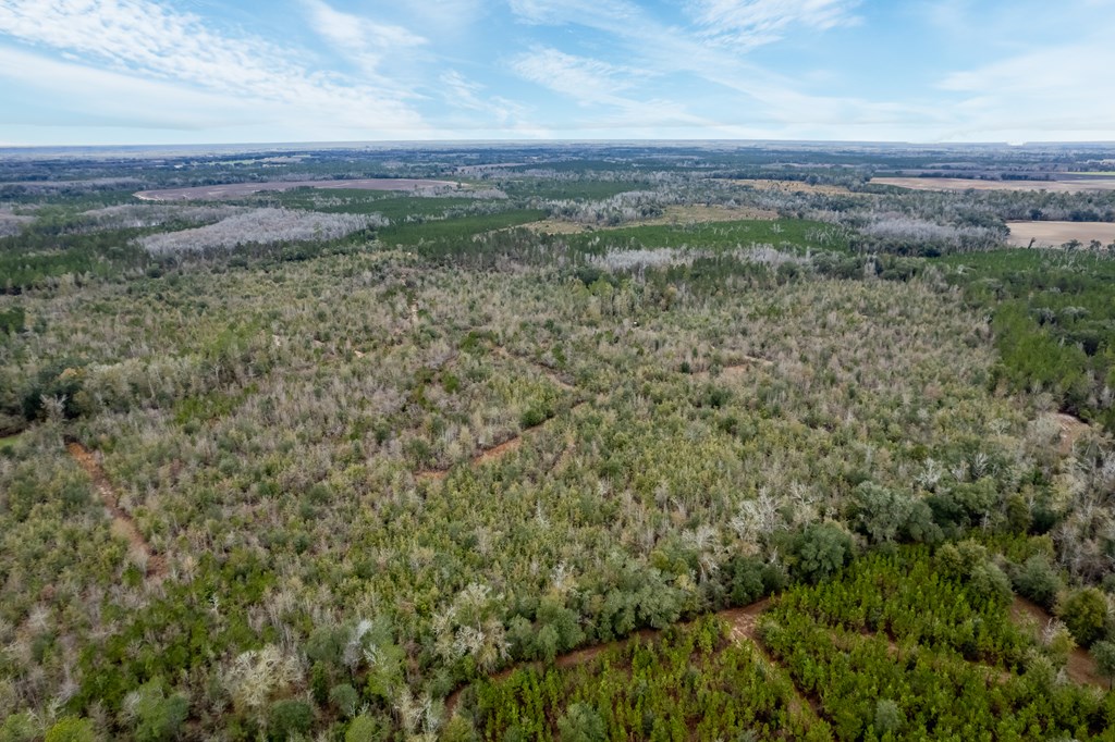 2 Pilgram Ch Road Gordon, AL 36343 - Photo 11 of 17