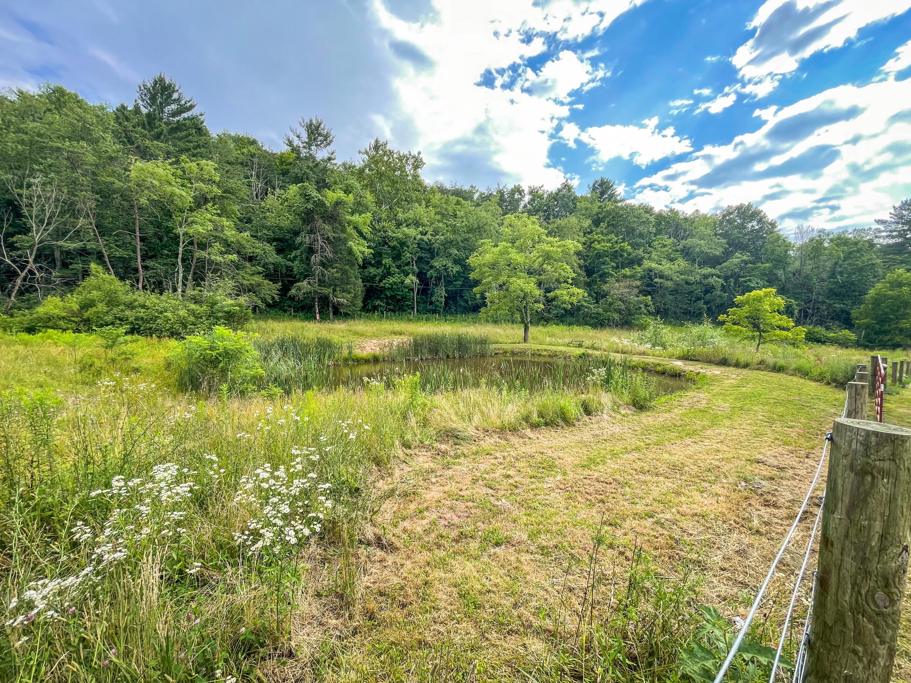 2305 Horseshoe Bend Road Ronceverte, WV 24970 - Photo 29 of 66 Gallery Image 29
