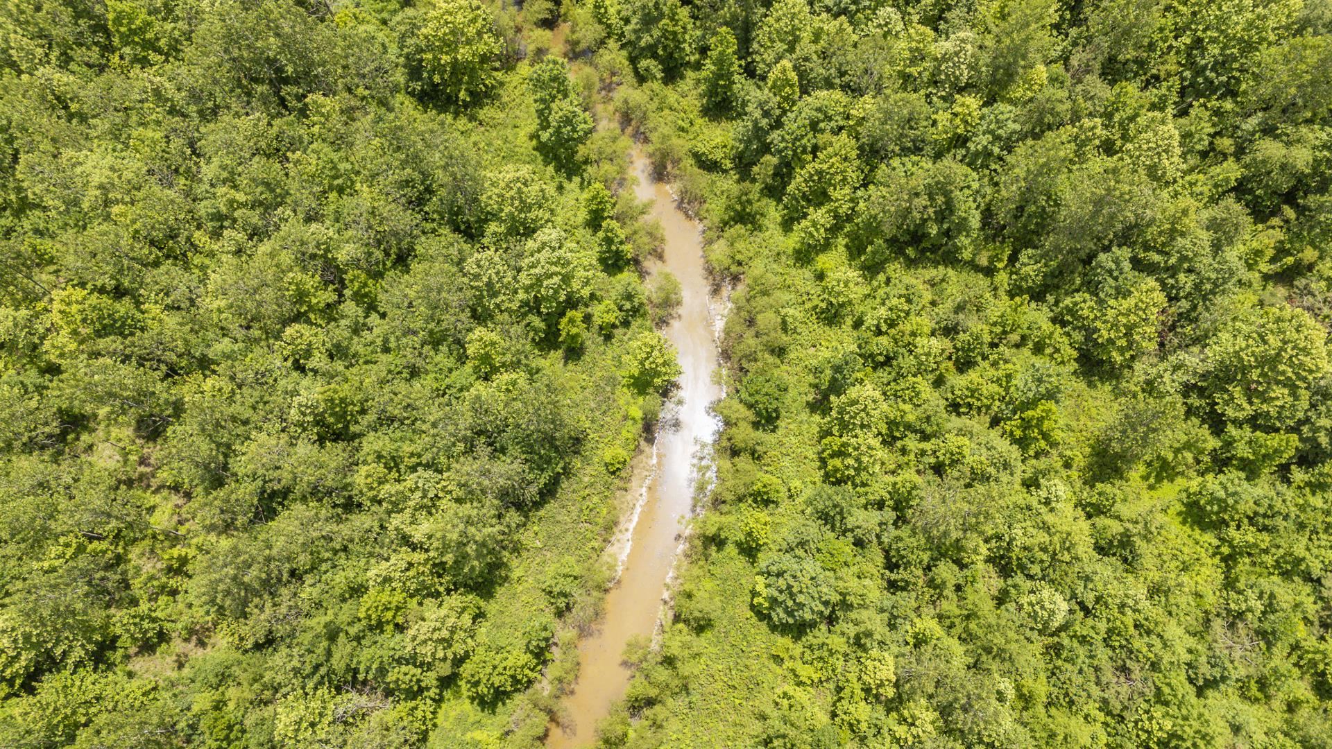 904 Capooth Road Ramer, TN 38367 - Photo 4 of 40