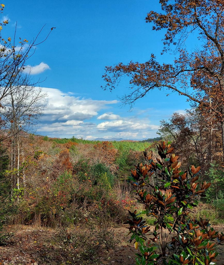 271 Kates Cv Road Murphy, NC 28906 - Photo 47 of 48
