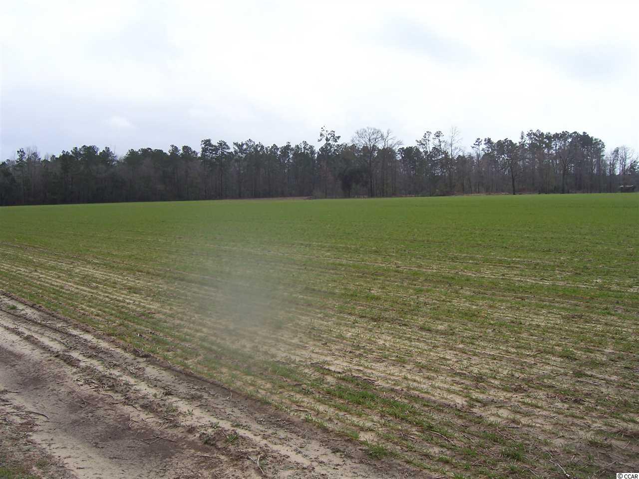 3068 Chestnut Road Longs, SC 29568 - Photo 21 of 24 Gallery Image 21