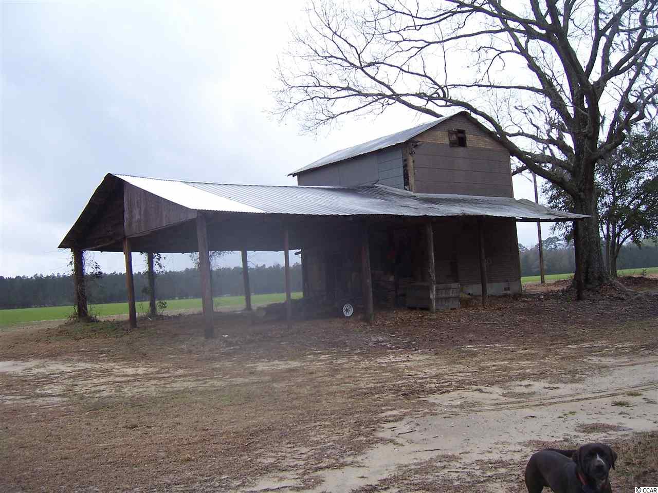 Gallery Image 7