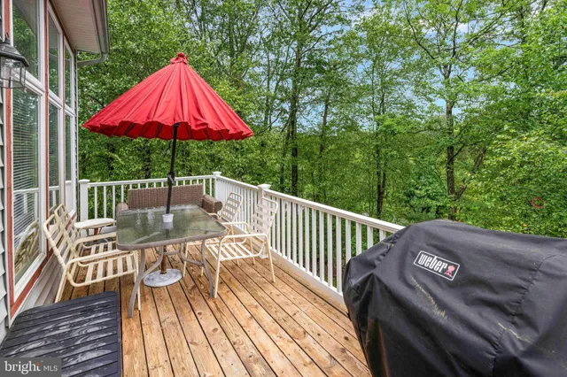 a view of a lush green forest