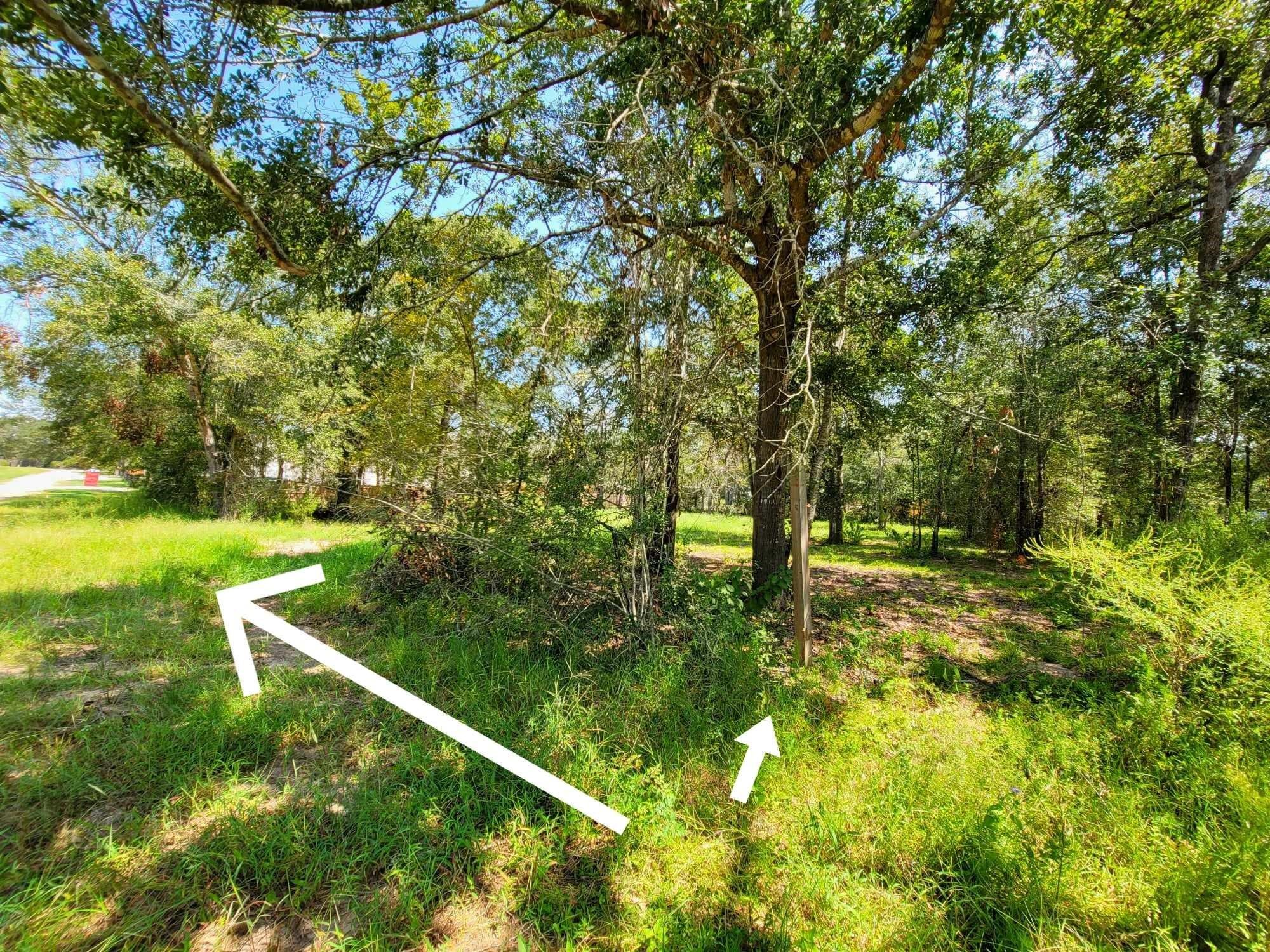 24649 Tipperary Street Hempstead, TX 77445 - Photo 3 of 6