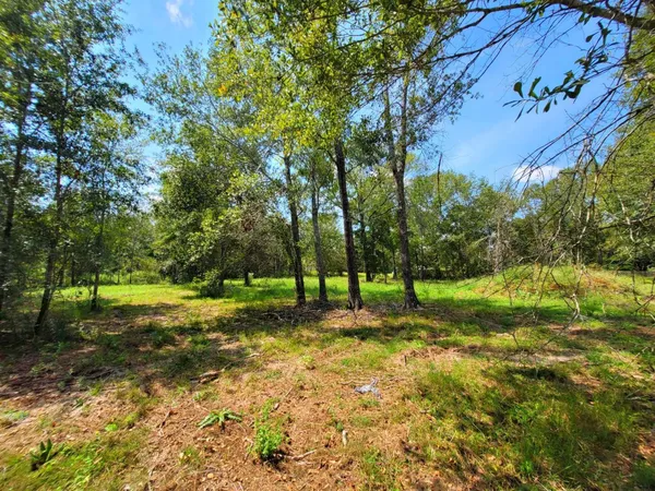 $110,000 | 24649 Tipperary Street, Hempstead, TX 77445