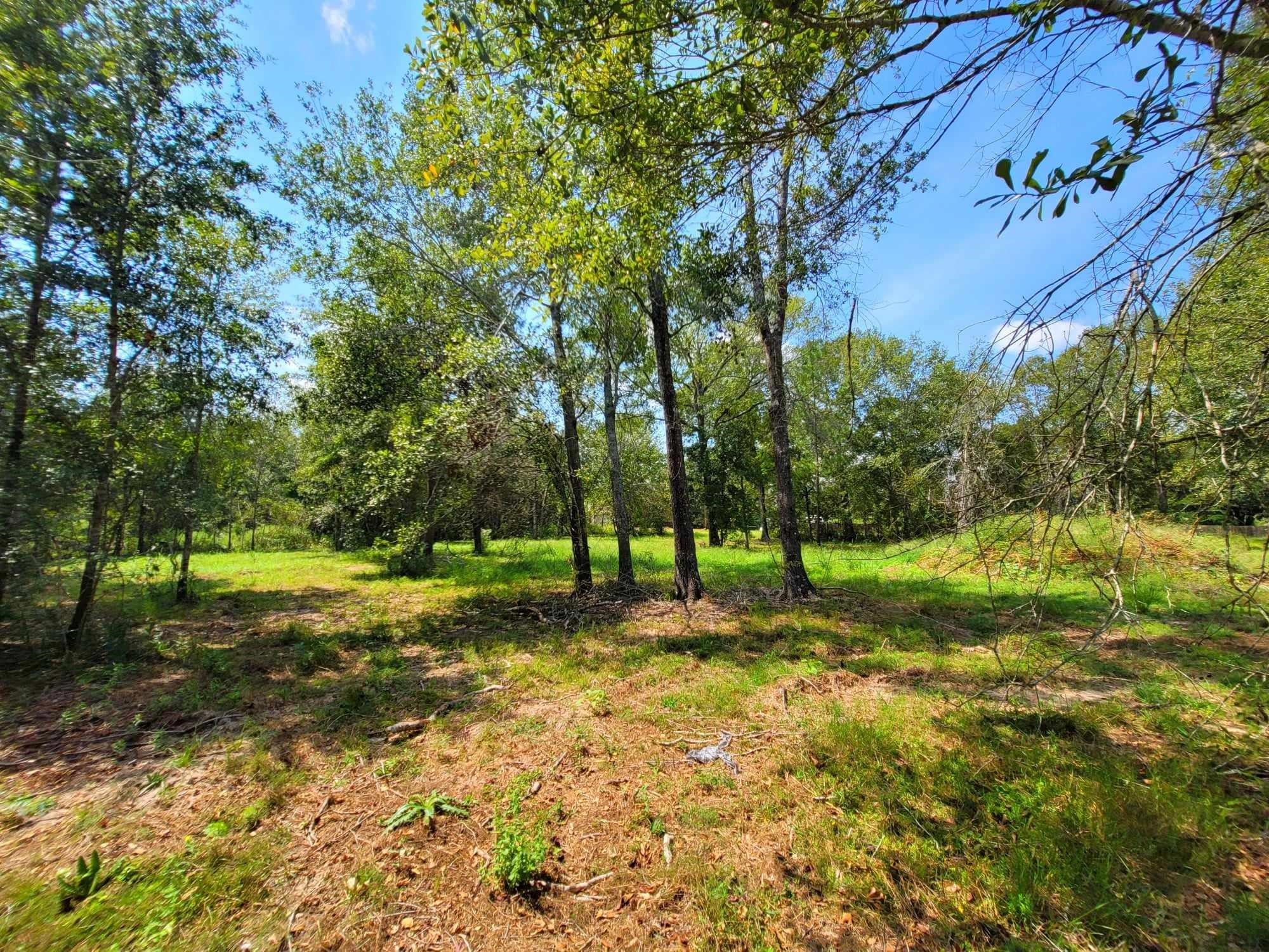 24649 Tipperary Street Hempstead, TX 77445 - Photo 5 of 6