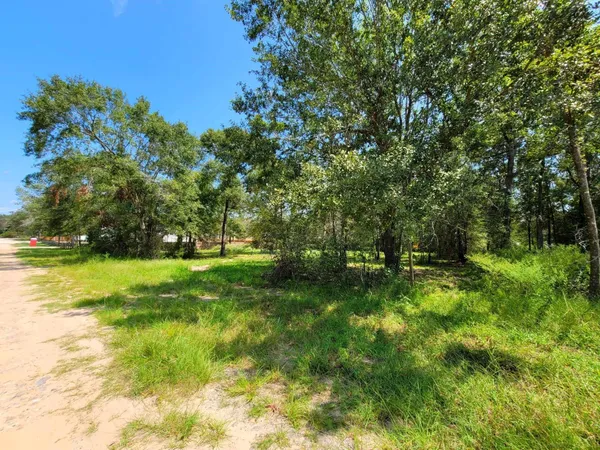 $110,000 | 24649 Tipperary Street, Hempstead, TX 77445