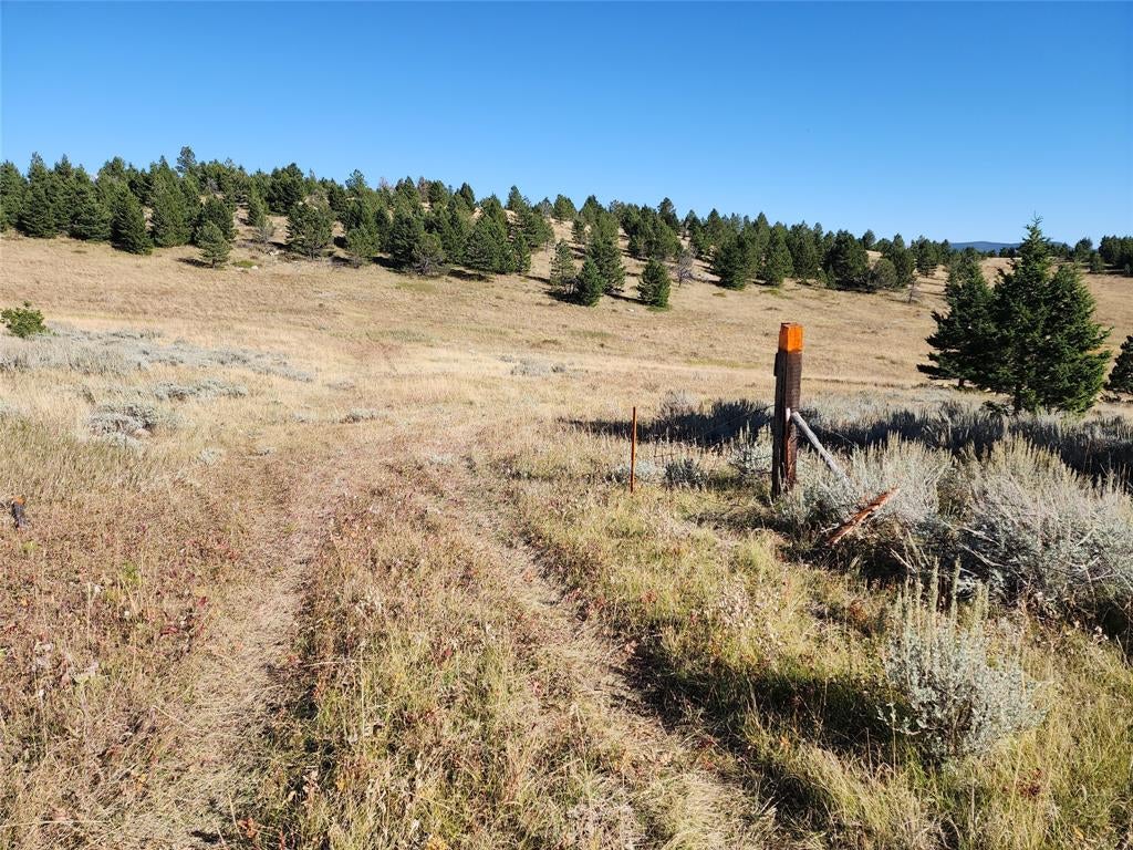 Tbd Tbd Logging Creek Road Monarch, MT 59463 - Photo 8 of 14 Gallery Image 8