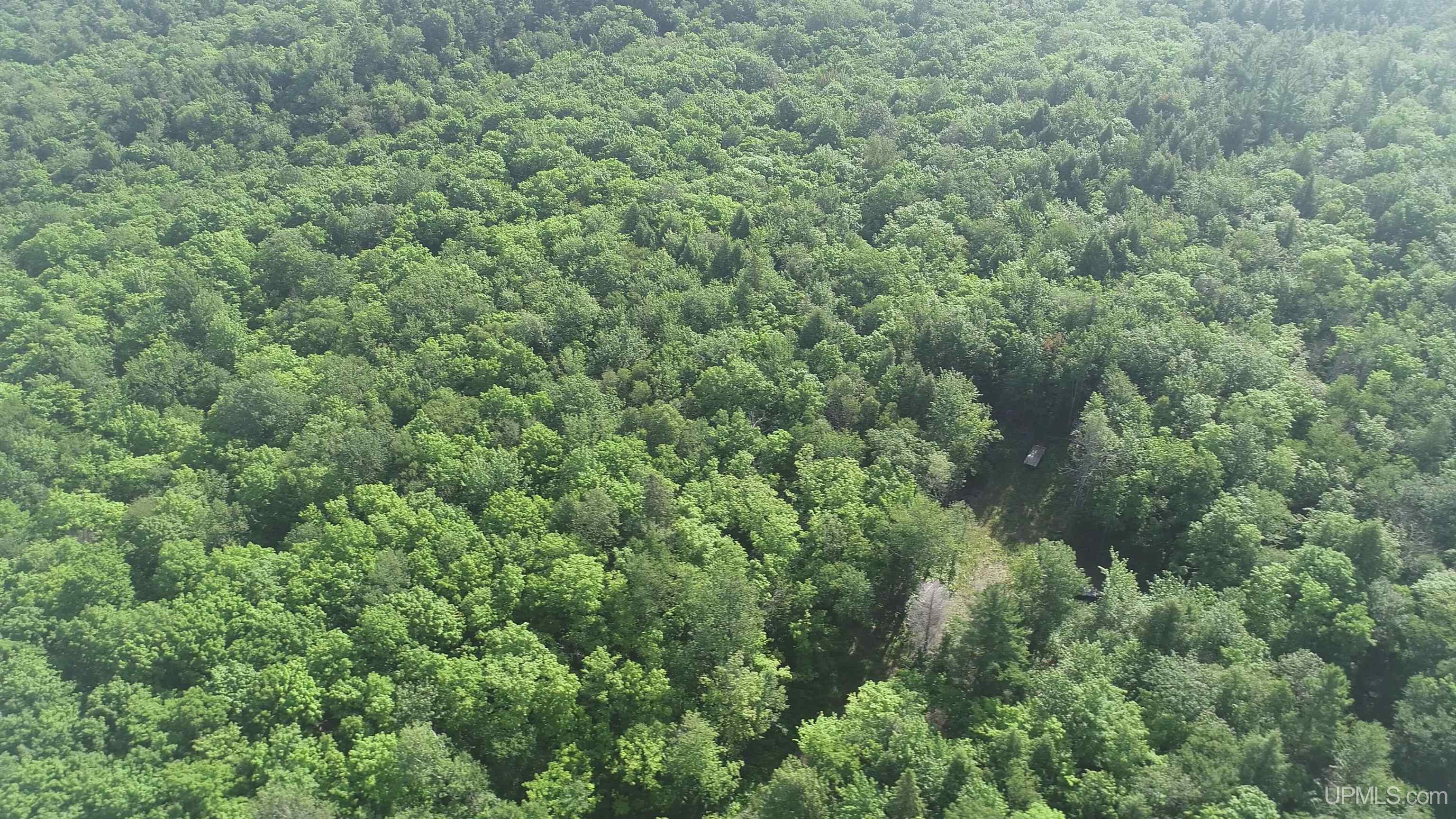510 Rd Ishpeming Mi 49849 Road Negaunee, MI 49866 - Photo 33 of 33