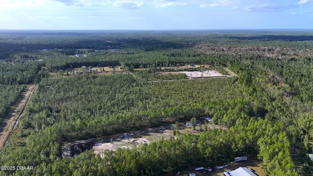 a view of a city with lush green forest