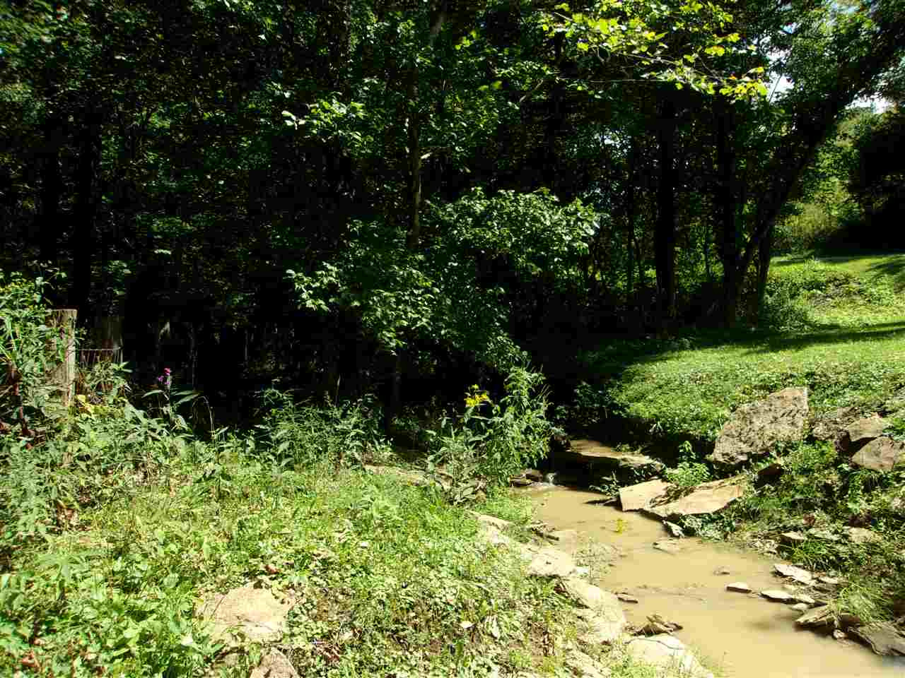 30-acres Dover Road Augusta, KY 41002 - Photo 9 of 50 Gallery Image 9