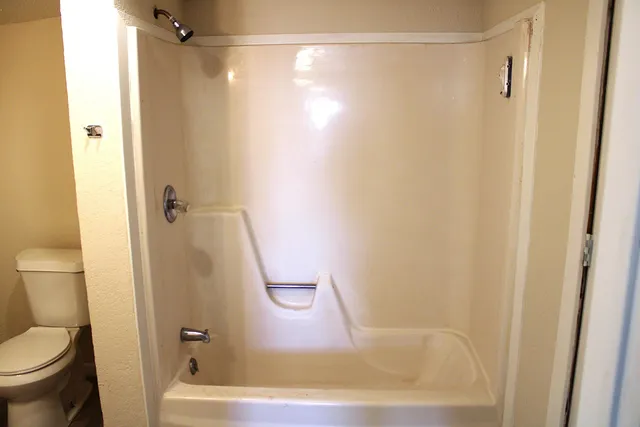 a bathroom with a shower and a toilet