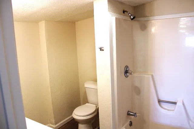 a bathroom with a shower and a toilet