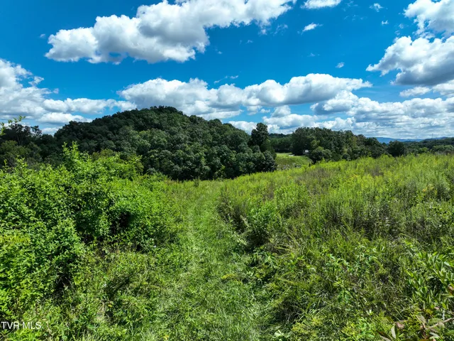 $1,450,000 | Tbd Old Muddy Creek Road, Unit 2, Piney Flats, TN 37686