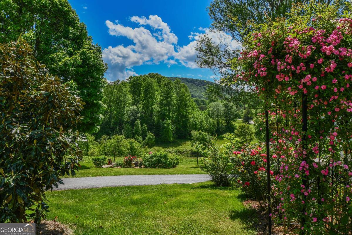 708 Hub Tatum Road Sautee Nacoochee, GA 30571 - Photo 25 of 100