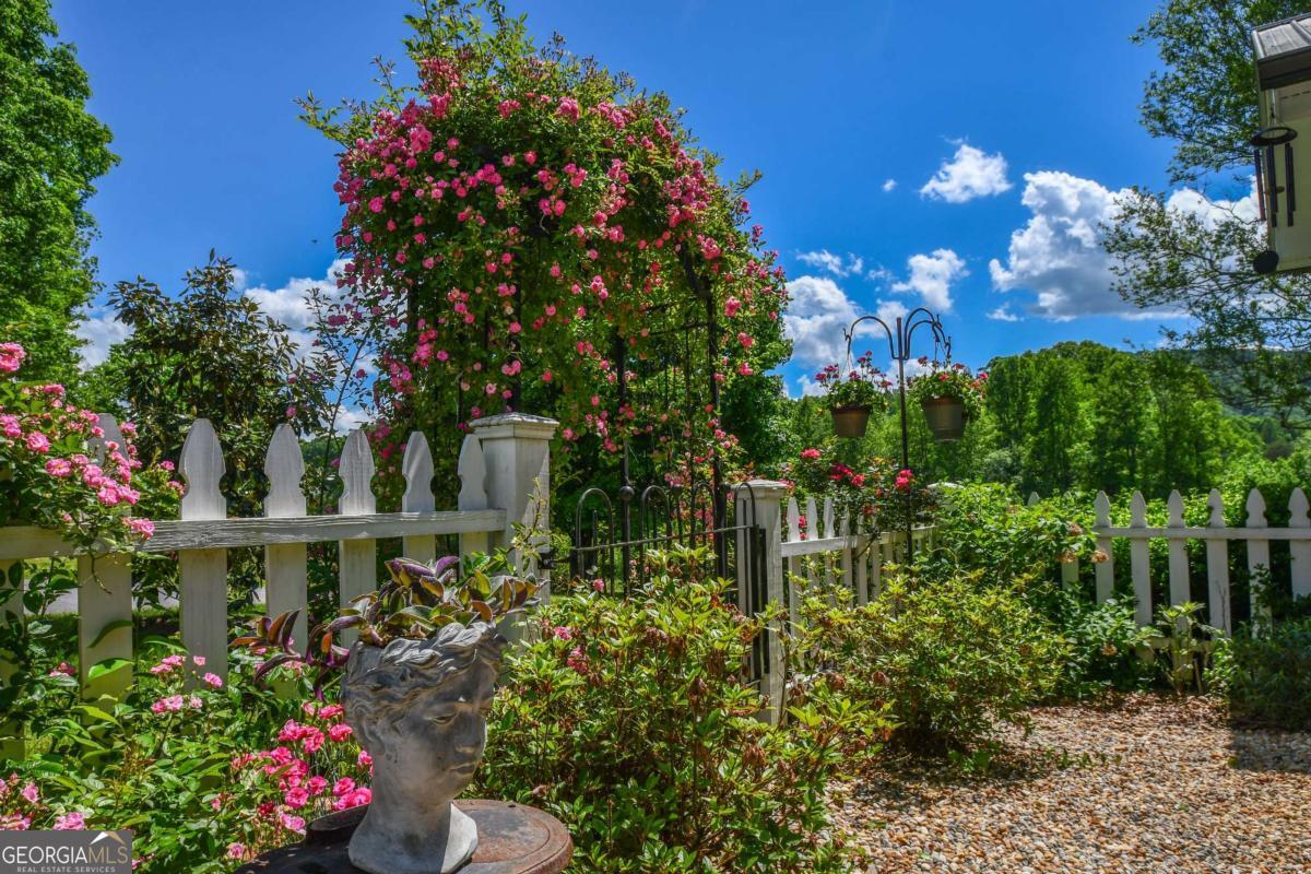 708 Hub Tatum Road Sautee Nacoochee, GA 30571 - Photo 28 of 100 a view of a flower in a garden