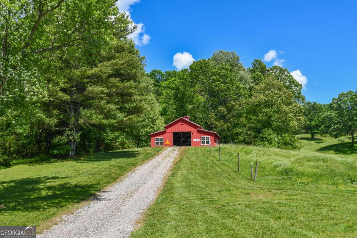 708 Hub Tatum Road Sautee Nacoochee, GA 30571 - Photo 31 of 100