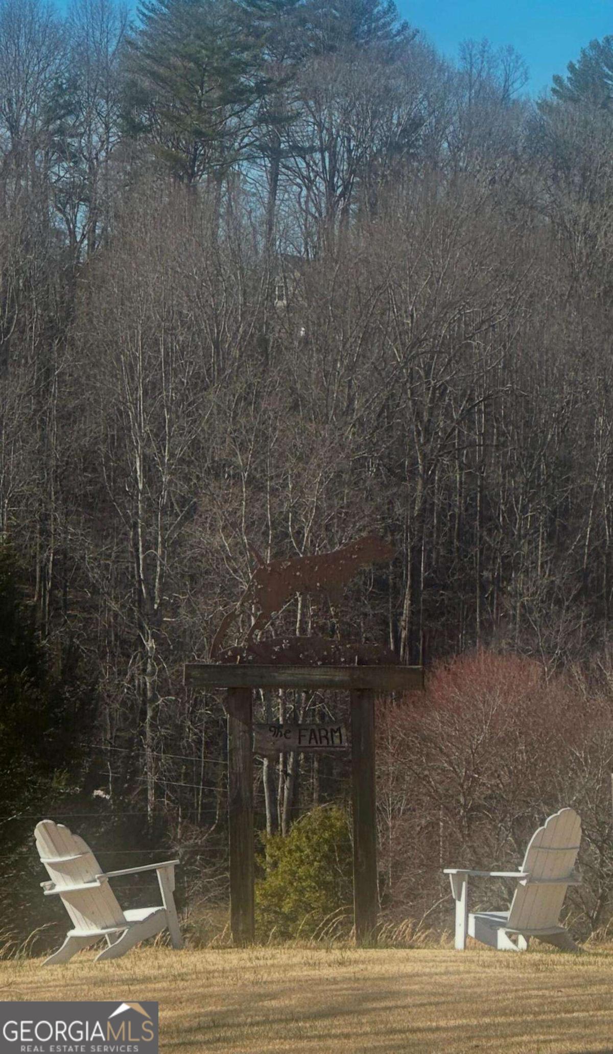 708 Hub Tatum Road Sautee Nacoochee, GA 30571 - Photo 34 of 100