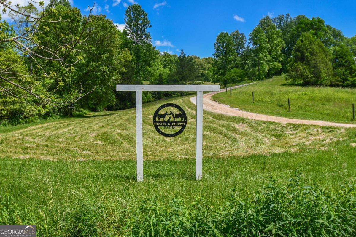 708 Hub Tatum Road Sautee Nacoochee, GA 30571 - Photo 5 of 100