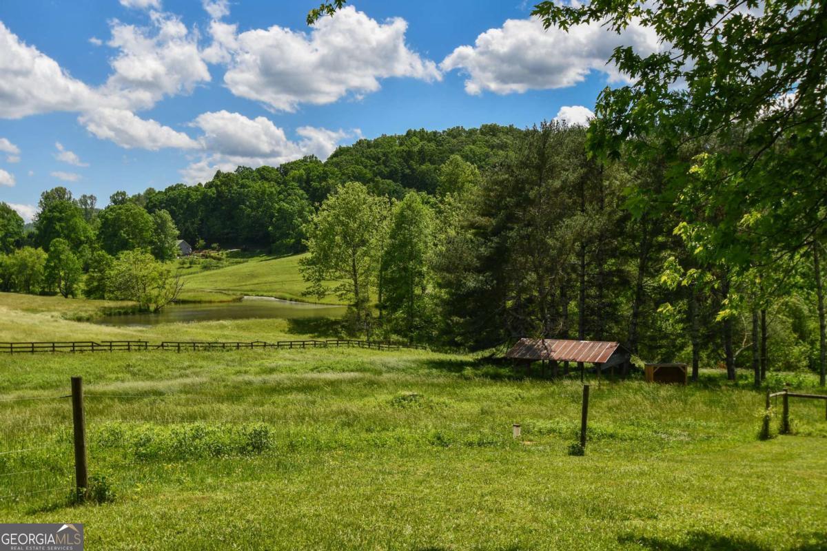 708 Hub Tatum Road Sautee Nacoochee, GA 30571 - Photo 8 of 100