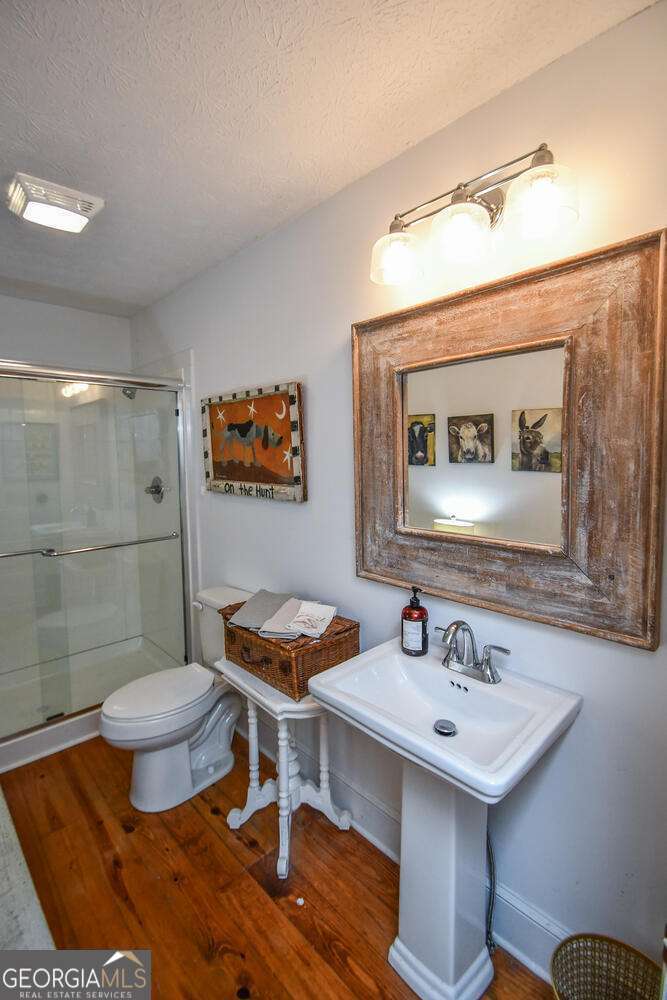 708 Hub Tatum Road Sautee Nacoochee, GA 30571 - Photo 93 of 100 a bathroom with a toilet a sink and a mirror
