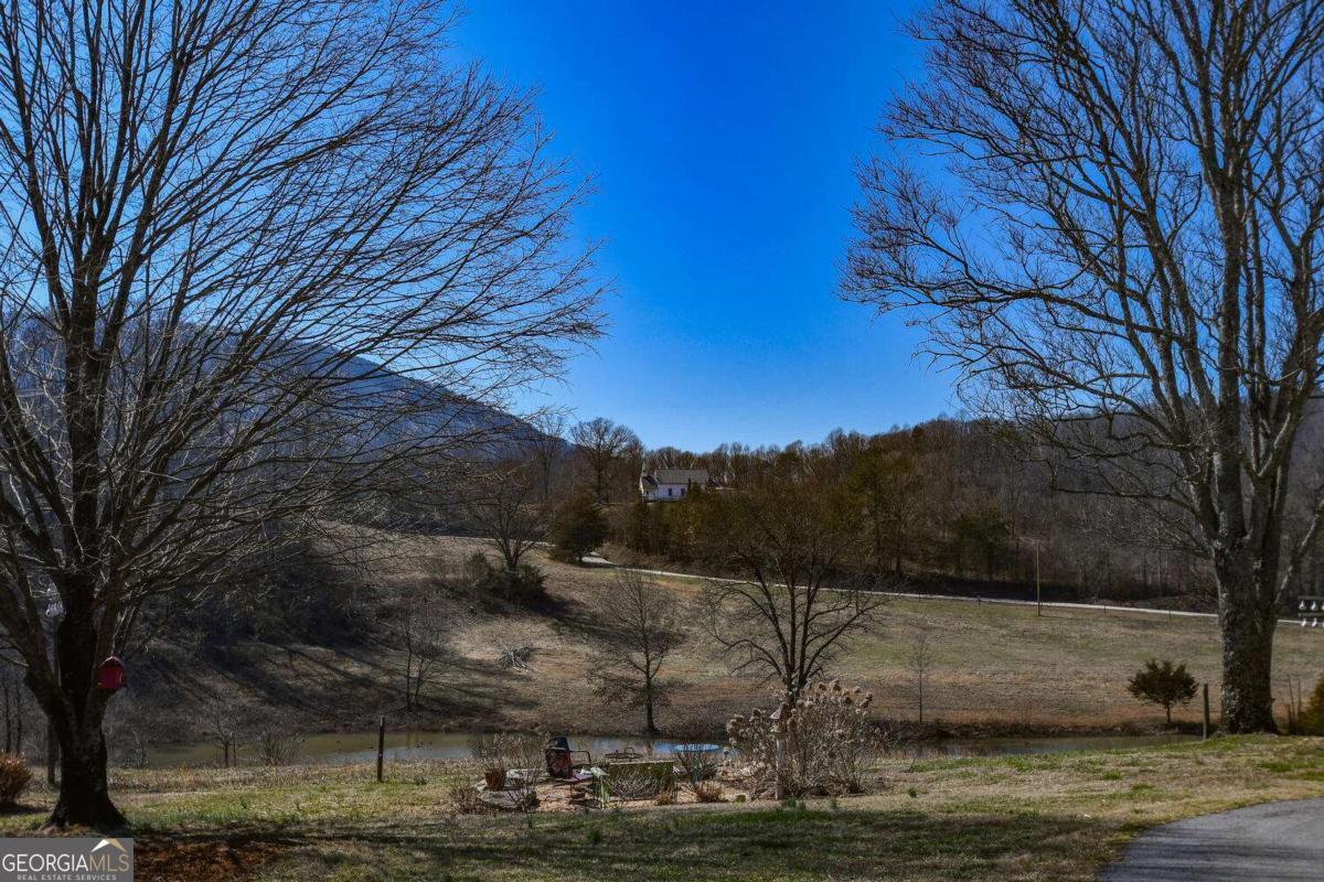 708 Hub Tatum Road Sautee Nacoochee, GA 30571 - Photo 98 of 100