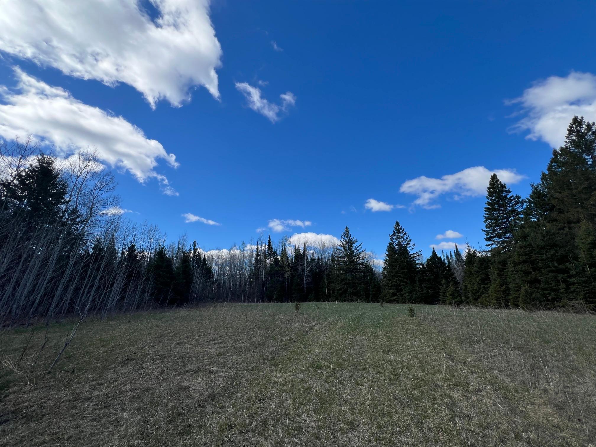 Parcel D Township Road East Floodwood, MN 55736 - Photo 12 of 22