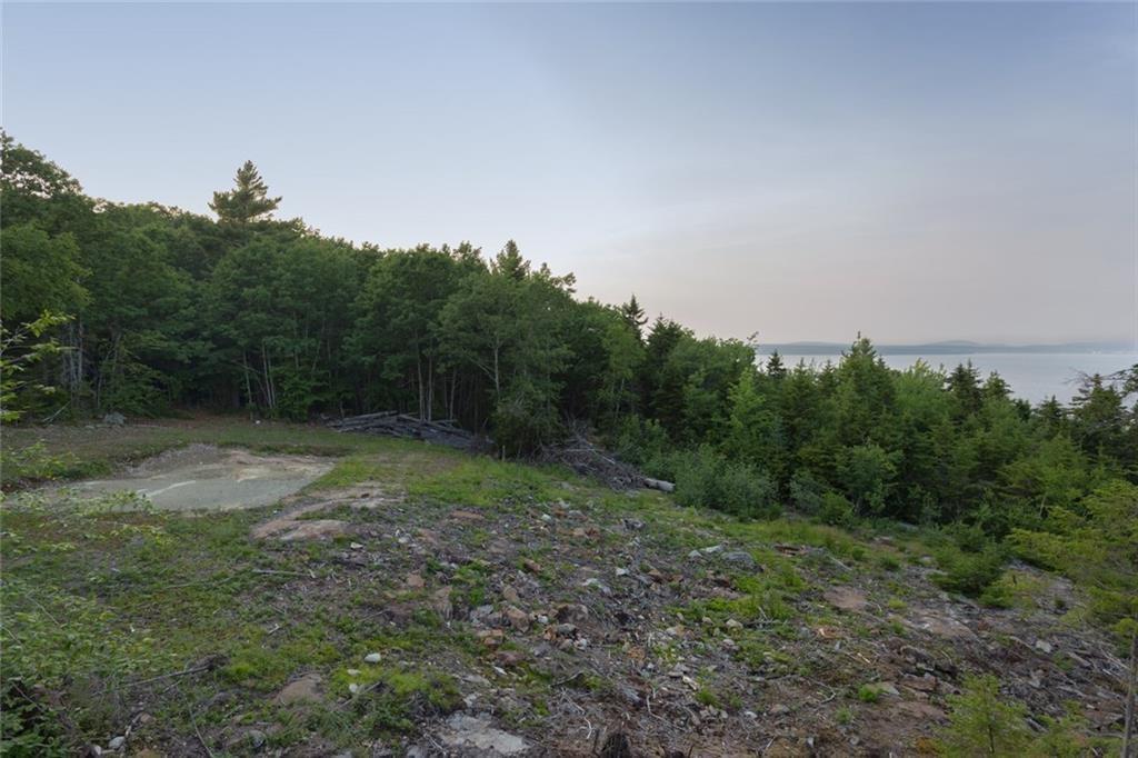 0 Upper Bluff Road Northport, ME 04849 - Photo 16 of 20 Photo