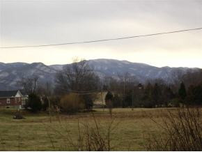 103 Jd Phillips Road Telford, TN 37690 - Photo 4 of 4 Photo 4