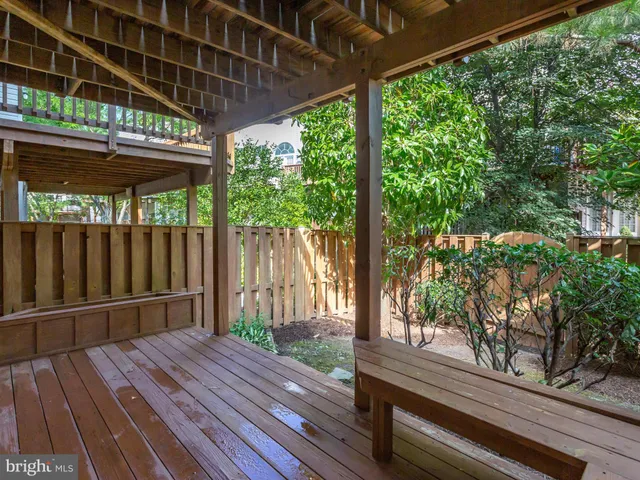 a view of a tree with a yard