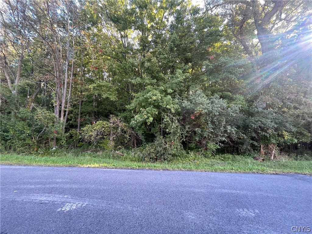 0 Swamp Road Auburn, NY 13021 - Photo 1 of 1
