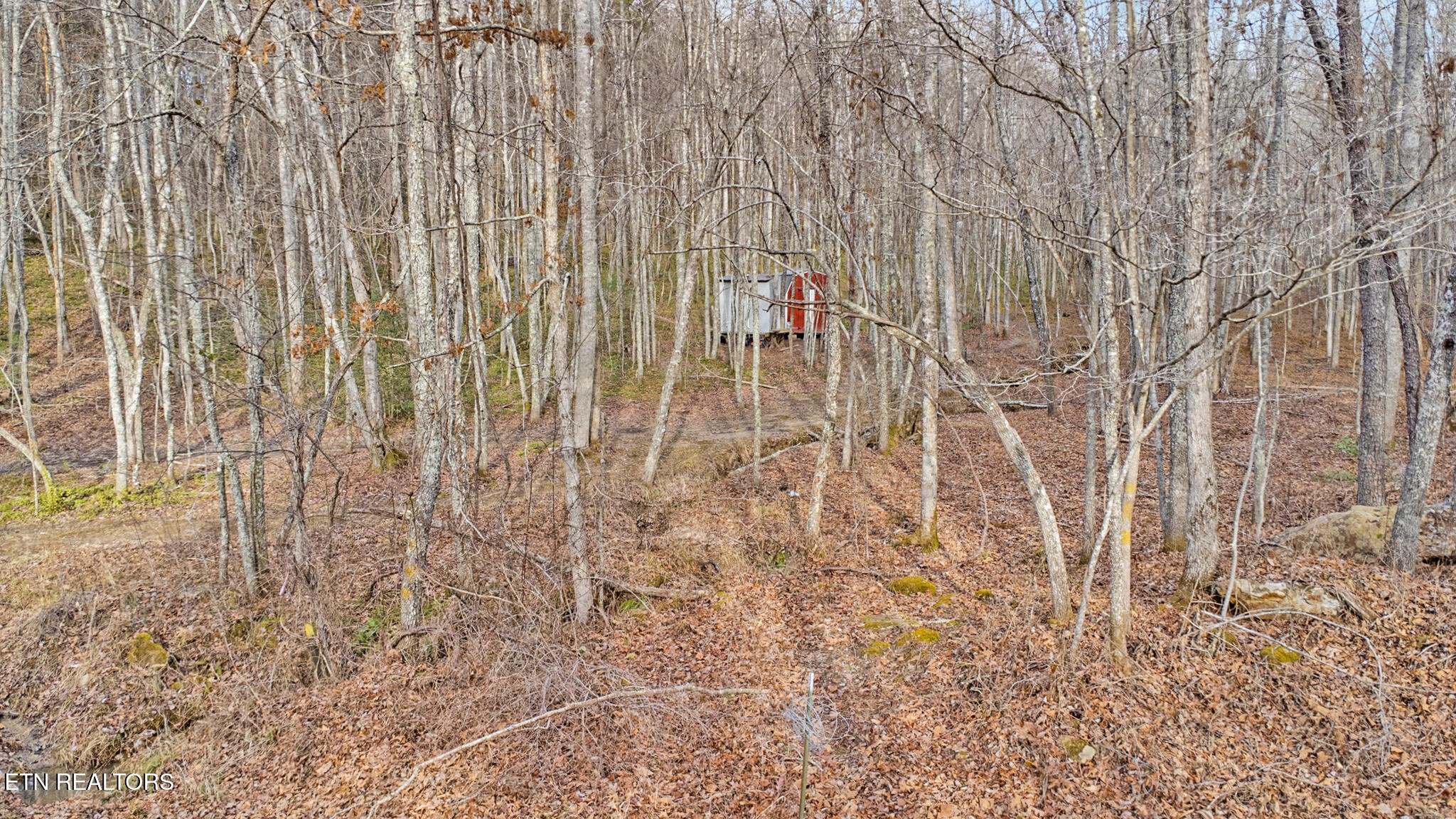 117 Hensley Road Deer Lodge, TN 37726 - Photo 19 of 23 Gallery Image 19