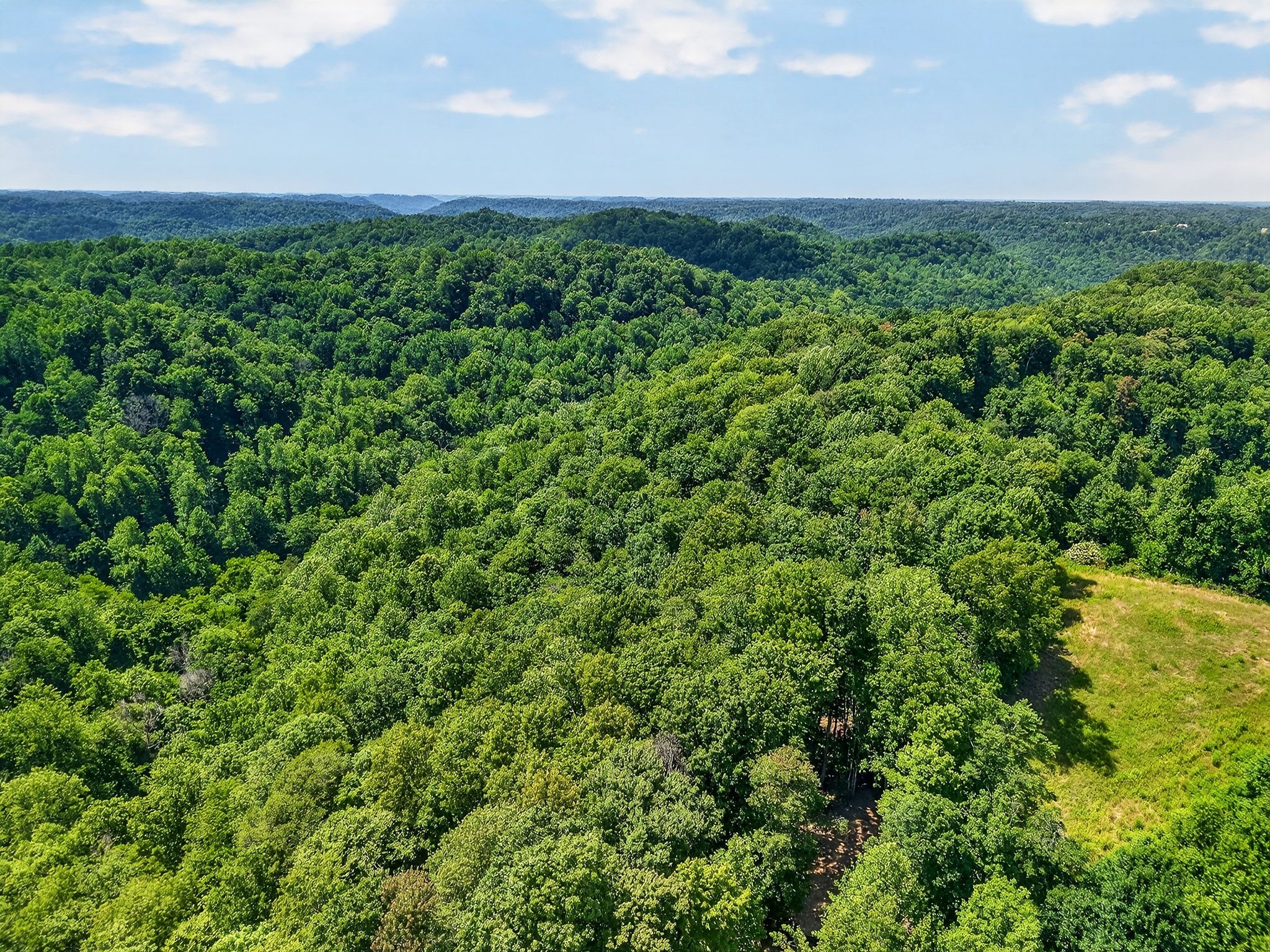 2926 Bryant Ridge Road Baxter, TN 38544 - Photo 58 of 64