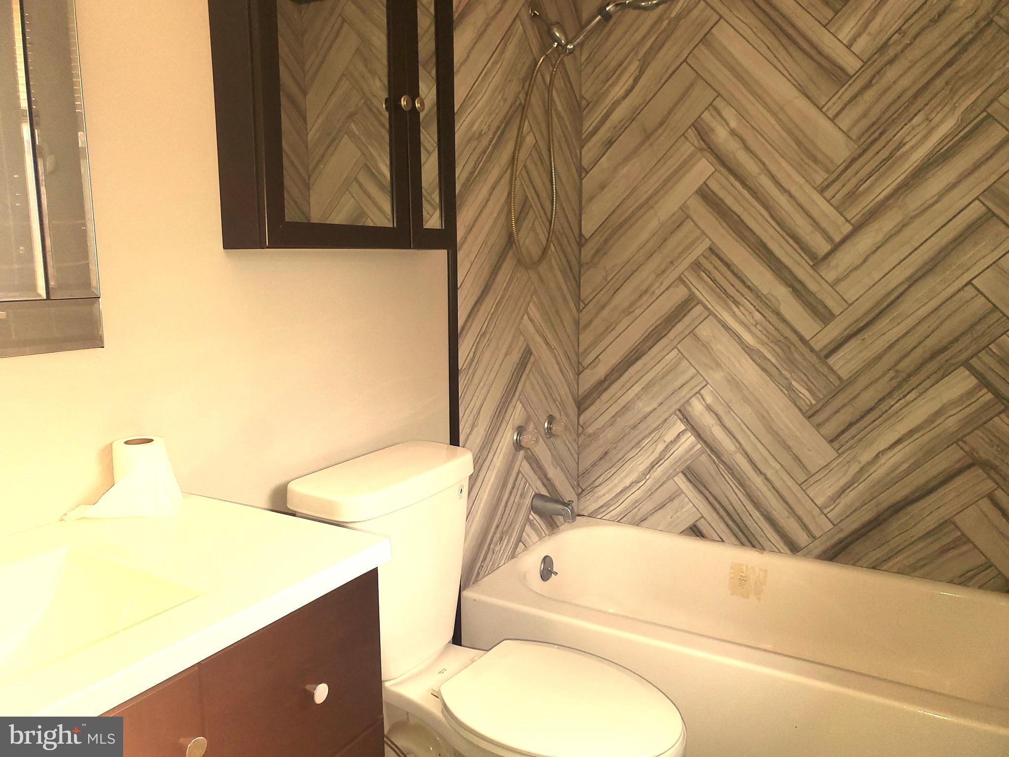 183 Cree Terrace Rising Sun, MD 21911 - Photo 18 of 27 Master bath