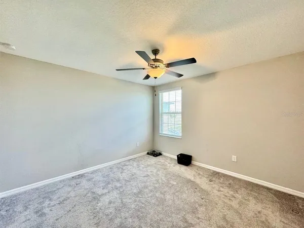 $3,200 | 7309 Canterbury Bells Court, Tampa, FL 33619