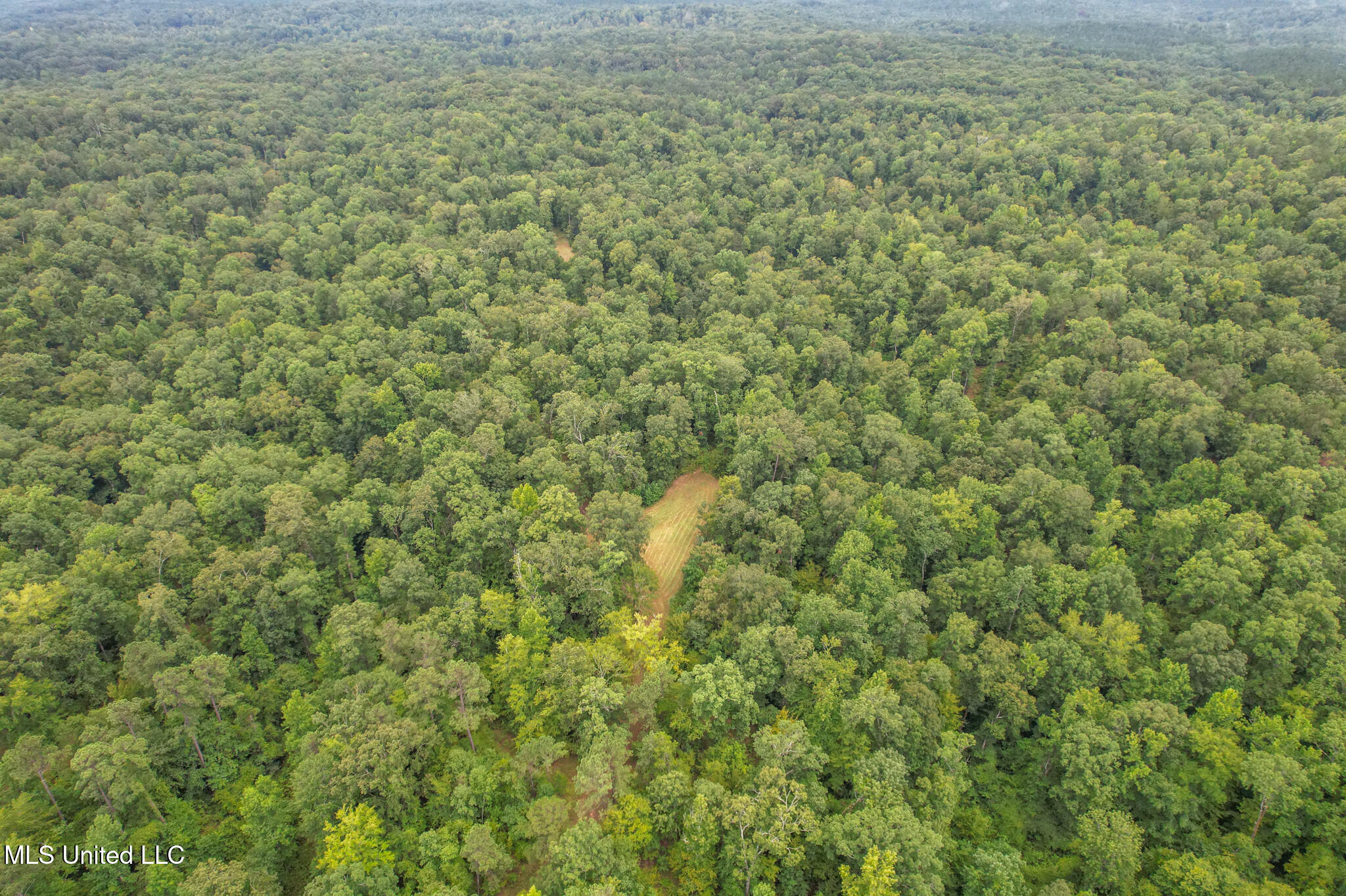 Tbd Hurricane Road Hermanville, MS 39086 - Photo 11 of 42 DJI_0143
