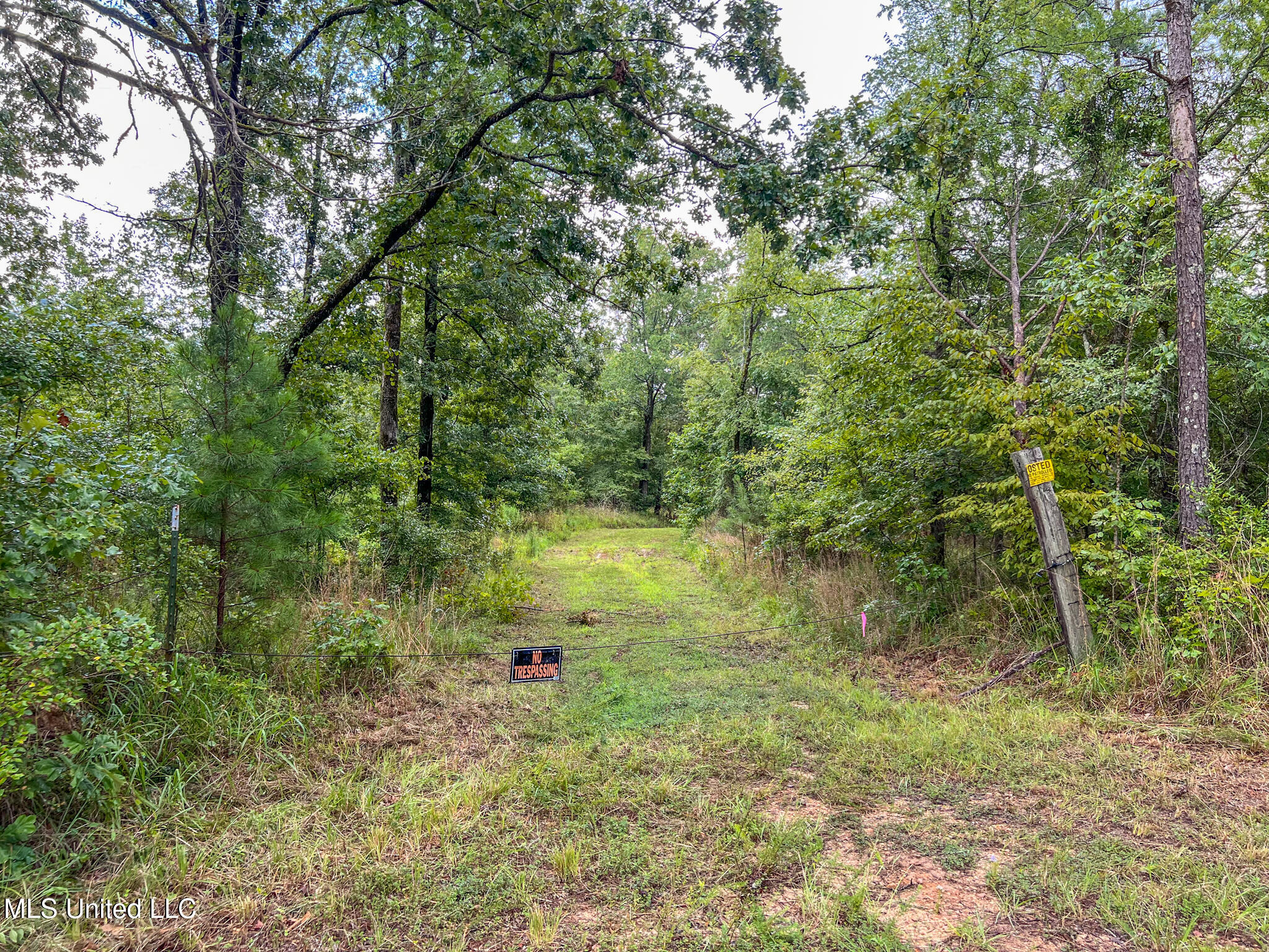 Tbd Hurricane Road Hermanville, MS 39086 - Photo 13 of 42 IMG_3875