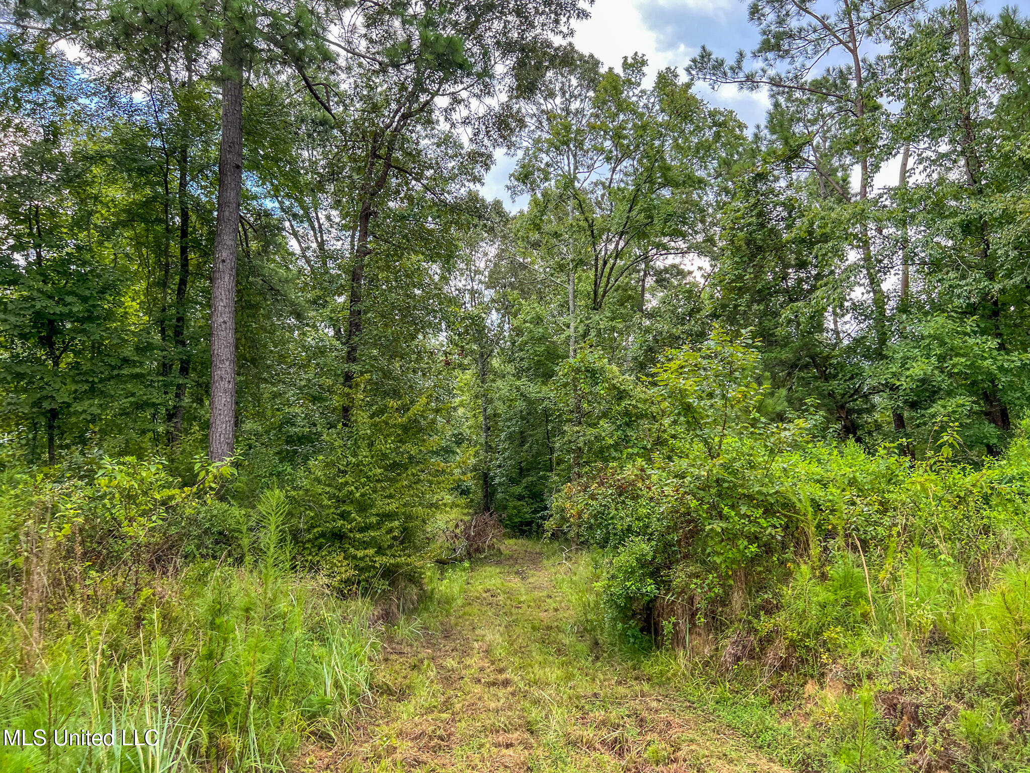 Tbd Hurricane Road Hermanville, MS 39086 - Photo 16 of 42 IMG_3878