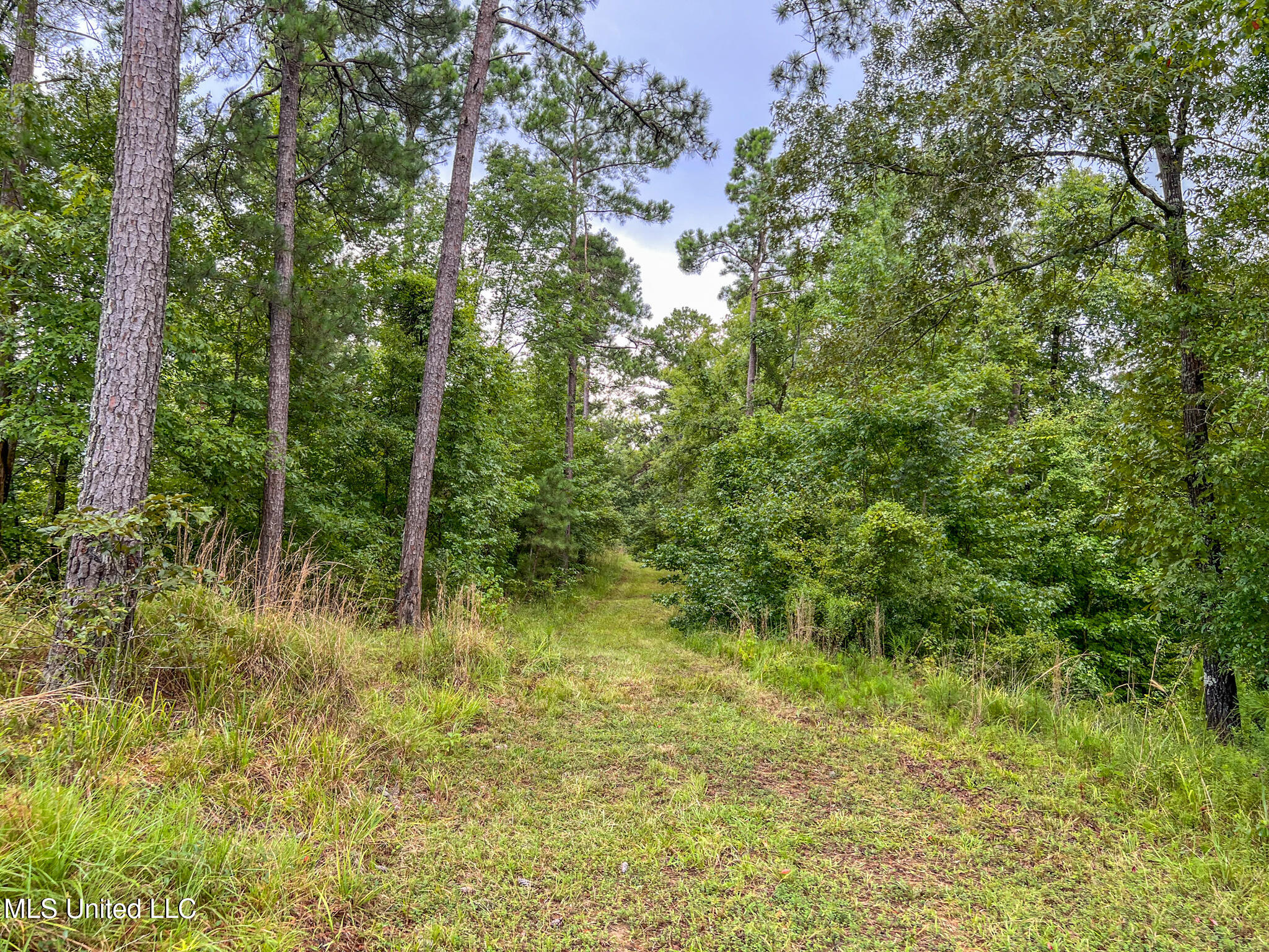 Tbd Hurricane Road Hermanville, MS 39086 - Photo 23 of 42 IMG_3885