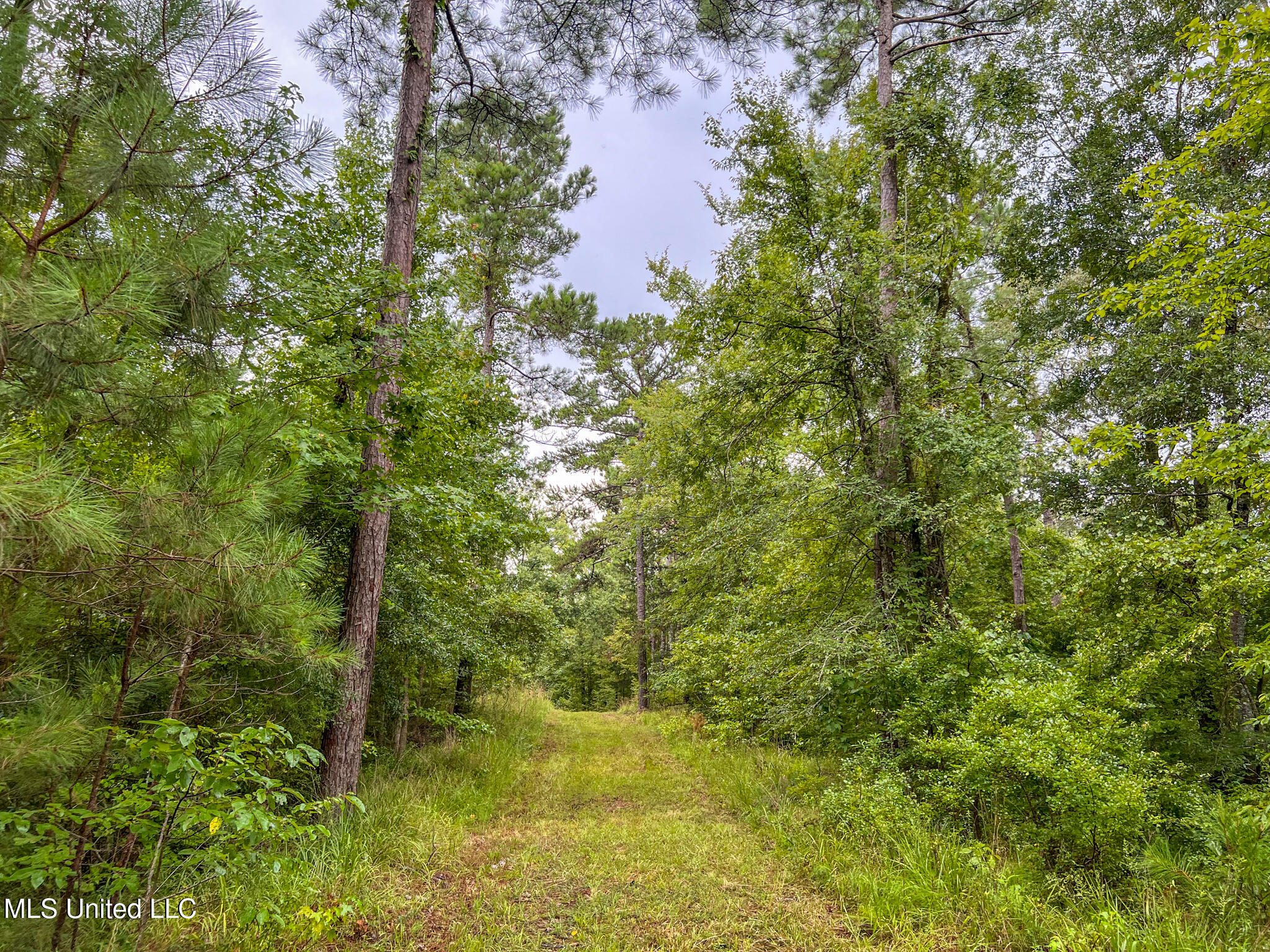 Tbd Hurricane Road Hermanville, MS 39086 - Photo 24 of 42 IMG_3886