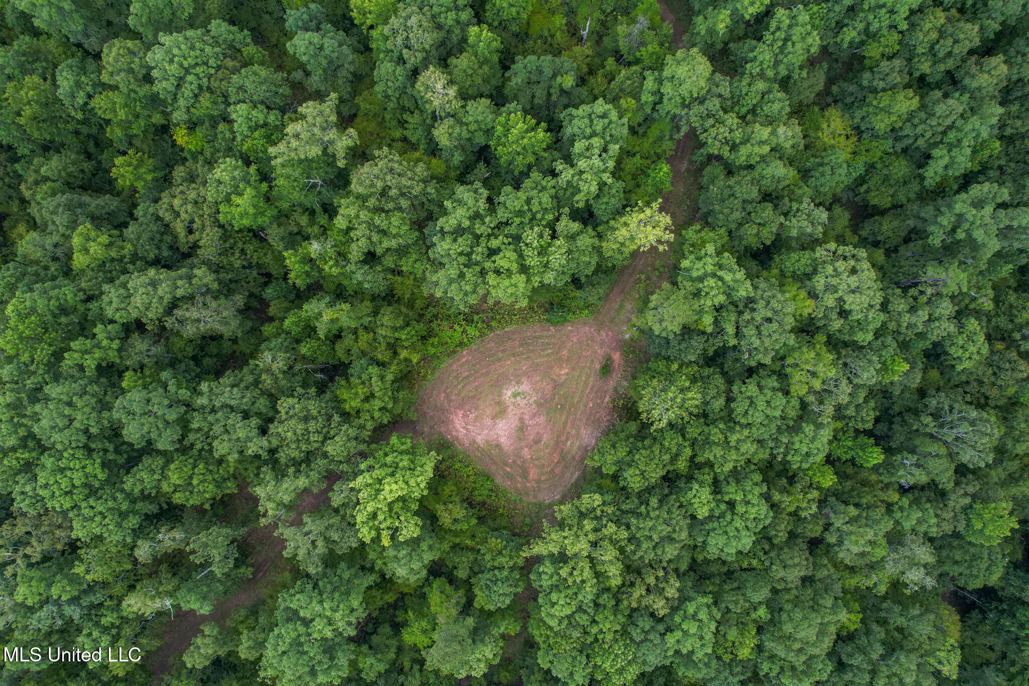 Tbd Hurricane Road Hermanville, MS 39086 - Photo 3 of 42 DJI_0127