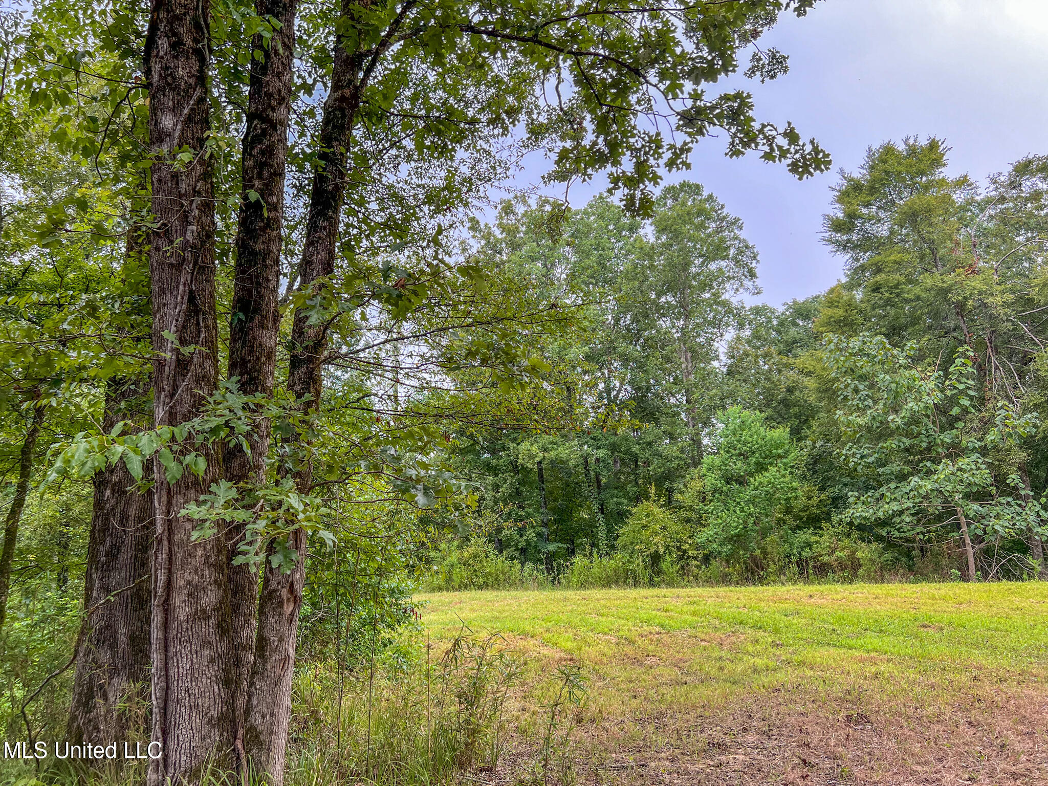 Tbd Hurricane Road Hermanville, MS 39086 - Photo 31 of 42 IMG_3893