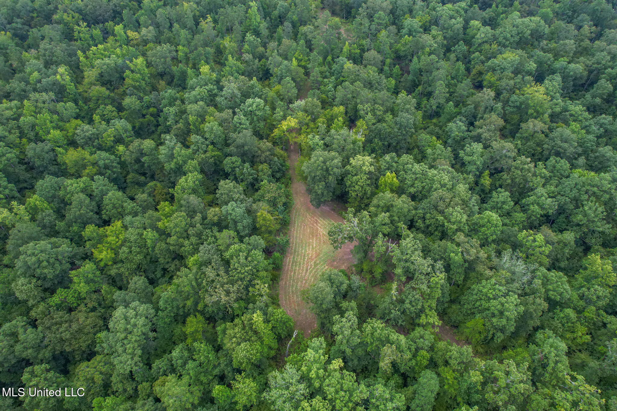 Tbd Hurricane Road Hermanville, MS 39086 - Photo 6 of 42 DJI_0134