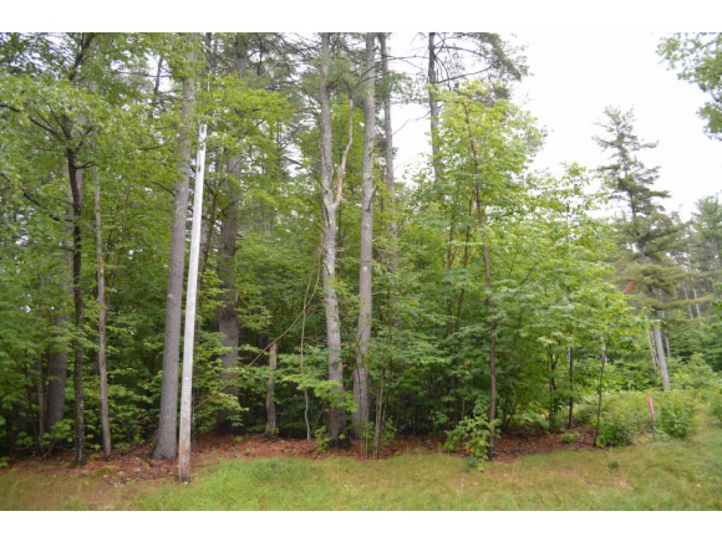 Lot 61 Trask Road Alton Bay, NH 03810 - Photo 2 of 6 Gallery Image 2