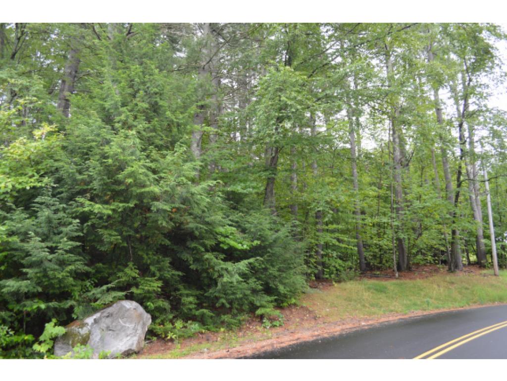 Lot 61 Trask Road Alton Bay, NH 03810 - Photo 4 of 6 Gallery Image 4
