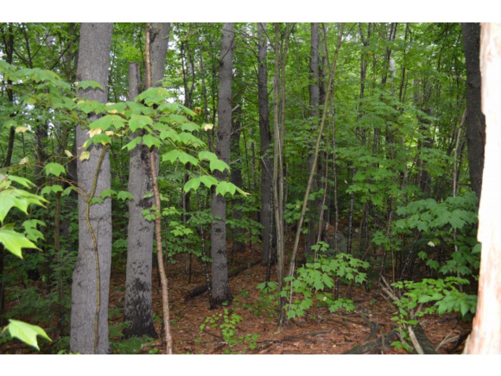 Lot 61 Trask Road Alton Bay, NH 03810 - Photo 5 of 6 Gallery Image 5