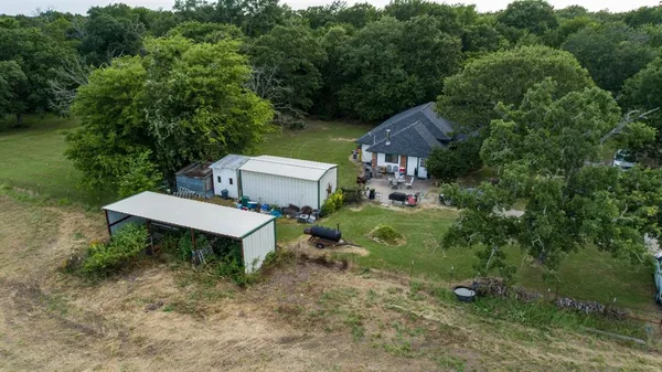 a view of a backyard with plants and a garden