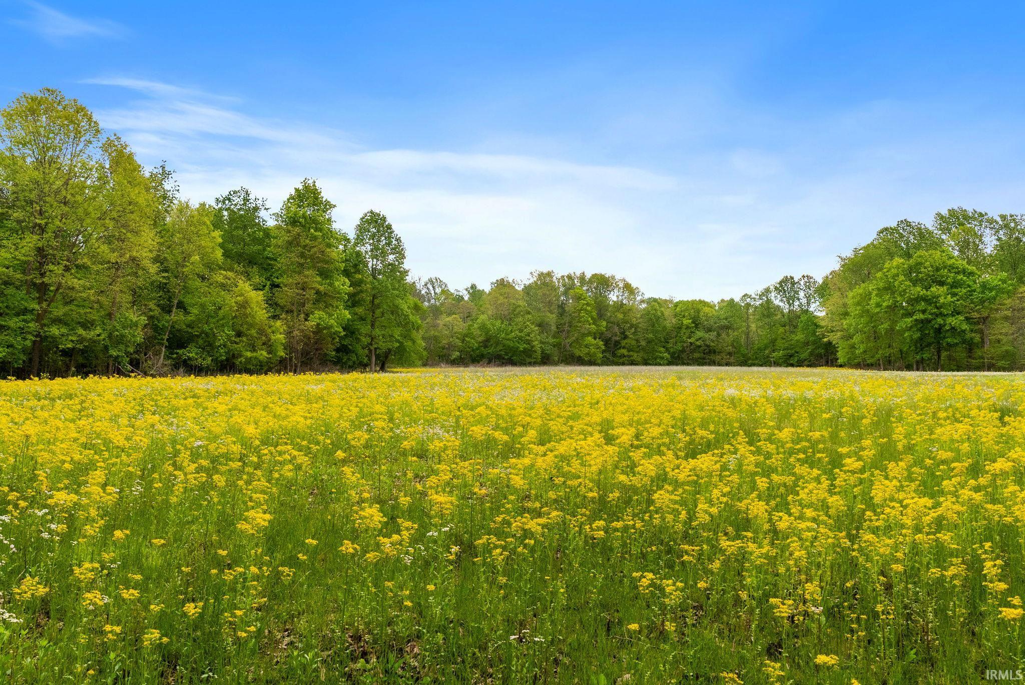 13960 North Rock Run Church Road Rosedale, IN 47874 - Photo 37 of 50